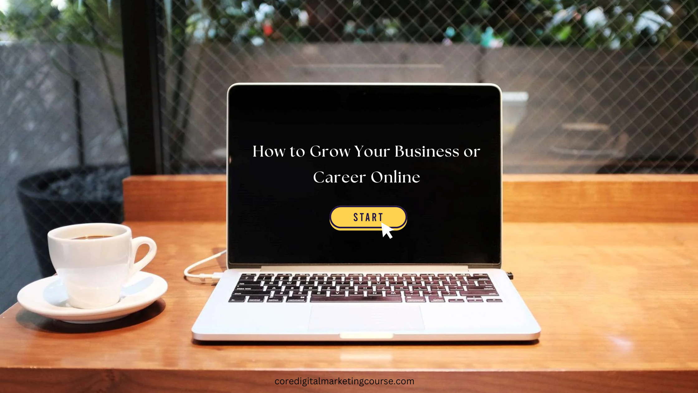 Content Marketing for Beginners: How to Grow Your  Business or Career Online